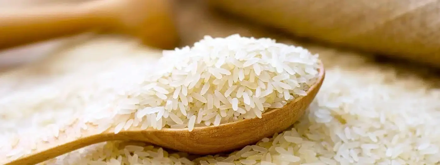 Illustrative indian rice sourcing category